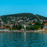 Tour 7: Princes' Islands, Büyükada & Heybeliada with Lunch - Image 4