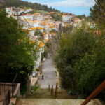 Tour 7: Princes' Islands, Büyükada & Heybeliada with Lunch - Image 6